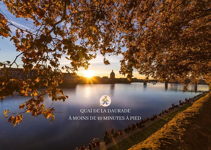 Wonder Appart' 1.2 - Coeur De - Toulouse